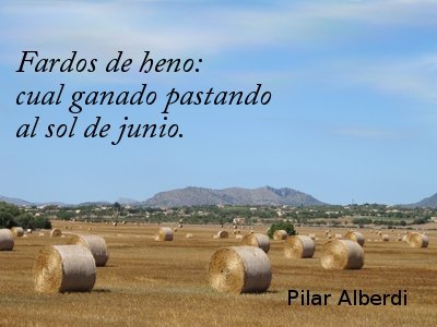 Fardos de heno