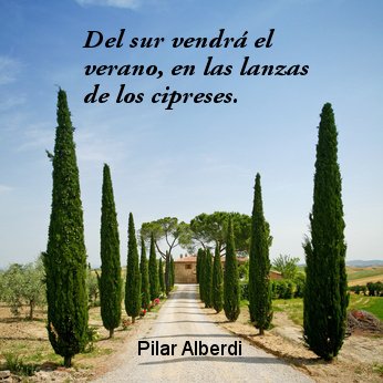 Cipreses